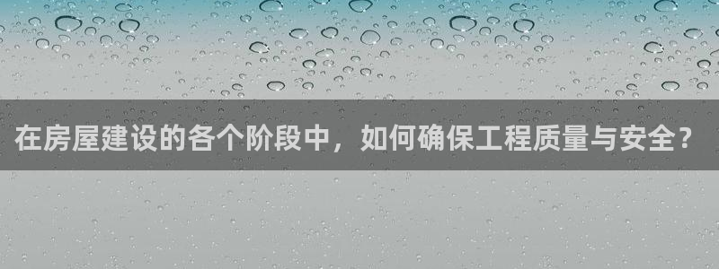 保定威九网络科技有限公司怎么样