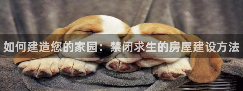 威九国际精免费下载：如何建造您的家园：禁闭求生的房屋建设方法