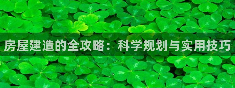 威九国际观看：房屋建造的全攻略：科学规划与实用技巧
