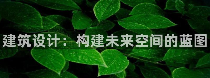 威九国际v96bet下载：建筑设计：构建未来空间的蓝图