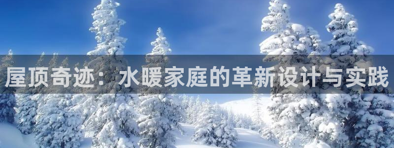 威九国际取款不到账：屋顶奇迹：水暖家庭的革新设计与实践