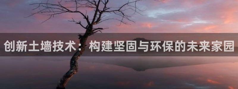 威九国际免费v5.5.2新版本特性：创新土墙技术：构建坚固与环保的未来家园
