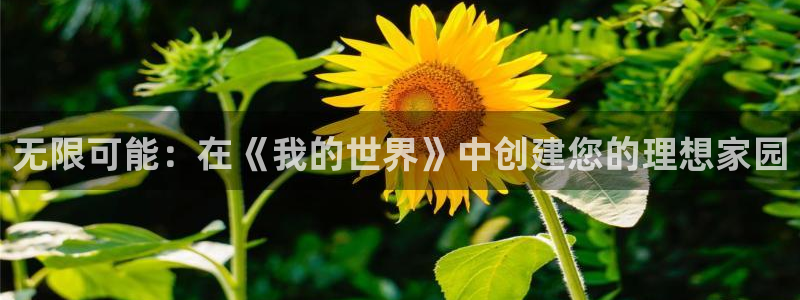 威九国际m78：无限可能：在《我的世界》中创建您的理想家园