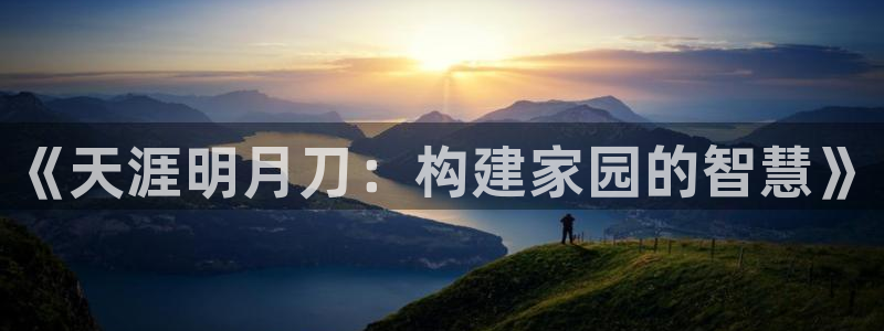 威九国际客服电话是多少：《天涯明月刀：构建家园的智慧》