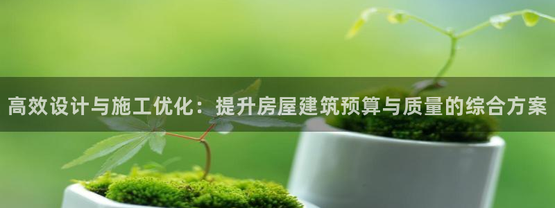 威九国际男主：高效设计与施工优化：提升房屋建筑预算与质量的综合方案