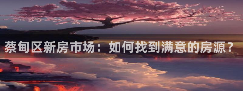 威九国际app：蔡甸区新房市场：如何找到满意的房源？
