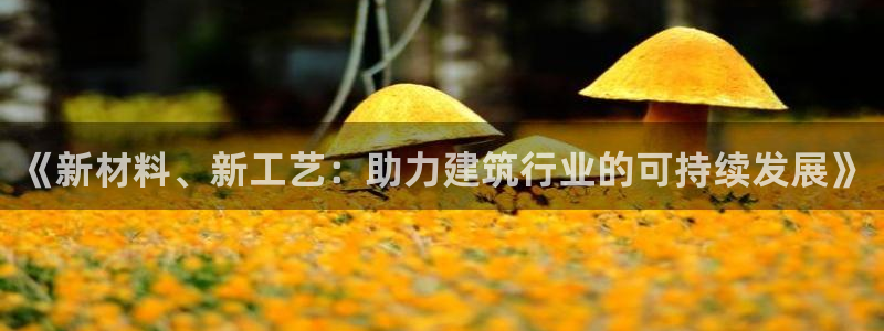 威九国际78mb官网：《新材料、新工艺：助力建筑行业的可持续发展》