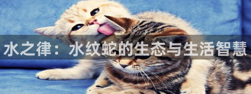 威九国际抡里：水之律：水纹蛇的生态与生活智慧