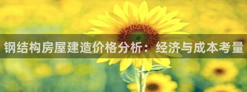 威九国际网站更新：钢结构房屋建造价格分析：经济与成本考量