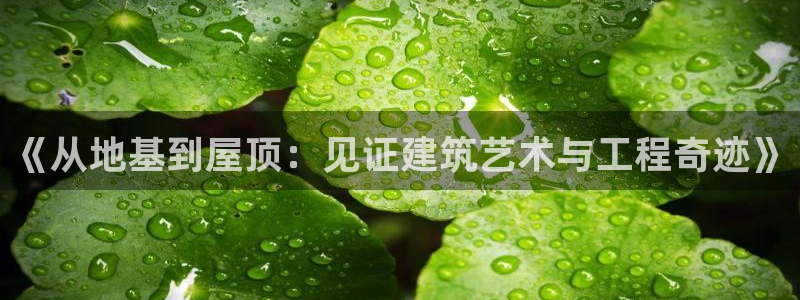 78mapp威九国际成全视频：《从地基到屋顶：见证建筑艺术与工程奇迹》