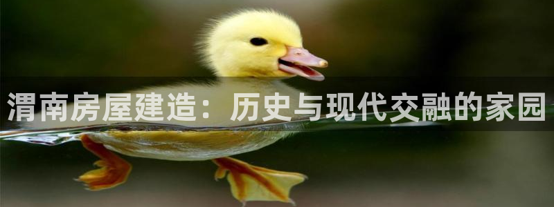 威九国际app网站官网：渭南房屋建造：历史与现代交融的家园