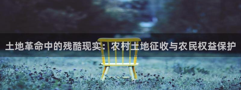 威九国际FF：土地革命中的残酷现实：农村土地征收与农民权益保护