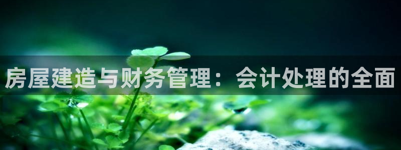 78mapp威九国际成全视频：房屋建造与财务管理：会计处理的全面