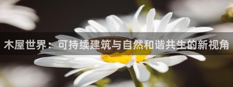 威九国际网站：木屋世界：可持续建筑与自然和谐共生的新视角