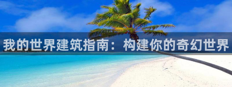78mppt威九国际：我的世界建筑指南：构建你的奇幻世界