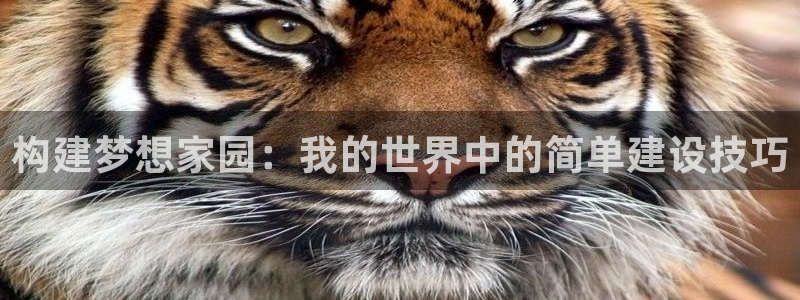 威九国际和之前：构建梦想家园：我的世界中的简单建设技巧