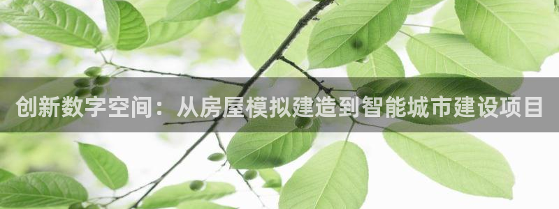 威九国际里的长头发帅哥名字：创新数字空间：从房屋模拟建造到智能城市建设项目