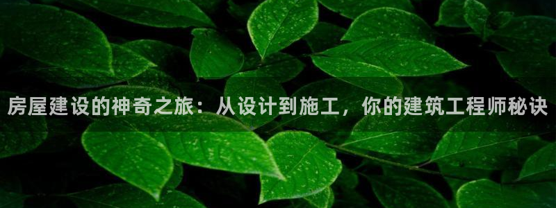 威九国际女主角：房屋建设的神奇之旅：从设计到施工，你的建筑工程师秘诀