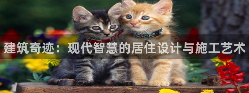 威九国际66m-66：建筑奇迹：现代智慧的居住设计与施工艺术