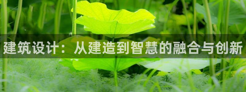威九国际网站是多少：建筑设计：从建造到智慧的融合与创新