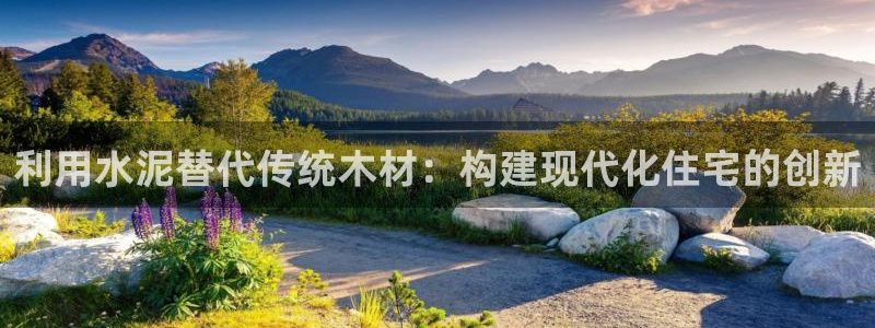威九国际最新：利用水泥替代传统木材：构建现代化住宅的创新
