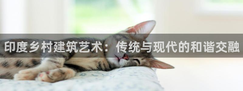 威九国际客服电话人工服务：印度乡村建筑艺术：传统与现代的和谐交融