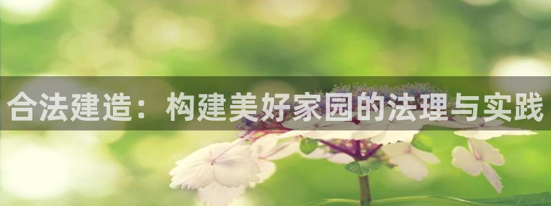 威九国际合作伙伴有哪些：合法建造：构建美好家园的法理与实践