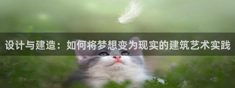 威九国际空降服务女演员名字：设计与建造：如何将梦想变为现实的建筑艺术实践