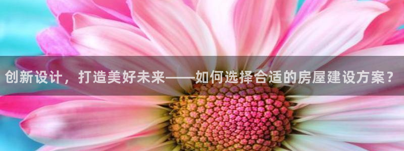 保定威九网络科技有限公司是干嘛的：创新设计，打造美好未来——如何选择合适的房屋建设方案？
