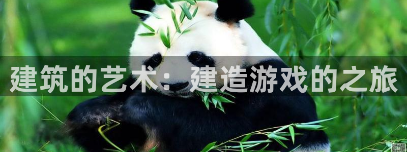 保定威九网络科技有限公司是干嘛的：建筑的艺术：建造游戏的之旅