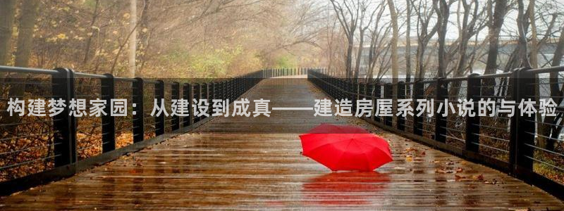 威九国际软件：构建梦想家园：从建设到成真——建造房屋系列小说的与体验