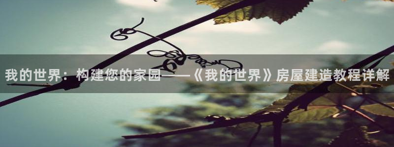 威九国际精彩推荐怎么样：我的世界：构建您的家园——《我的世界》房屋建造教程详解