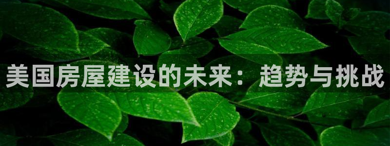 威九国际v8：美国房屋建设的未来：趋势与挑战
