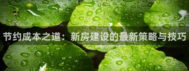 威九国际网站更新了吗：节约成本之道：新房建设的最新策略与技巧
