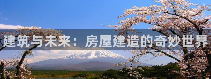威九国际动漫：建筑与未来：房屋建造的奇妙世界