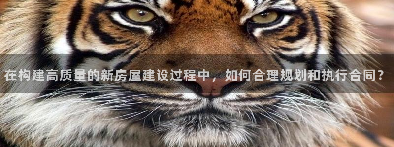 威九国际mm：在构建高质量的新房屋建设过程中，如何合理规划和执行合同？