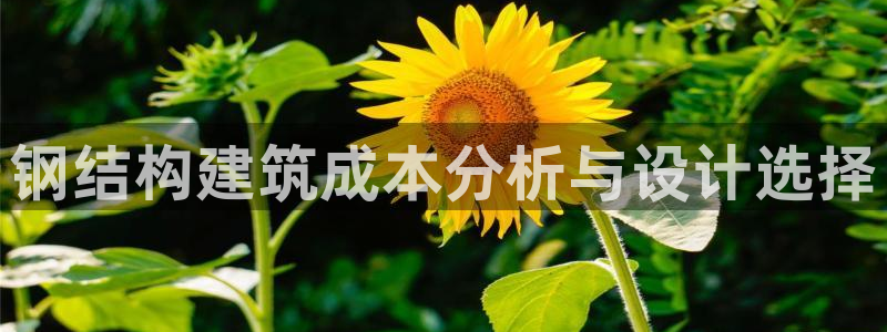 威九国际小说：钢结构建筑成本分析与设计选择