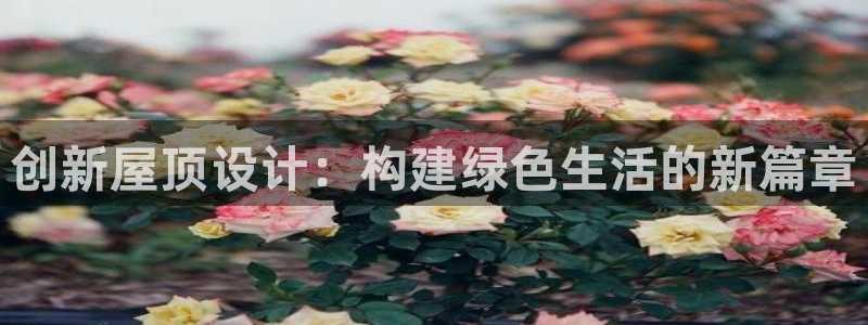 威九国际女主角：创新屋顶设计：构建绿色生活的新篇章