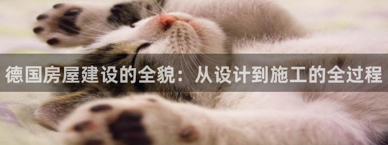 威九国际66m66官网：德国房屋建设的全貌：从设计到施工的全过程