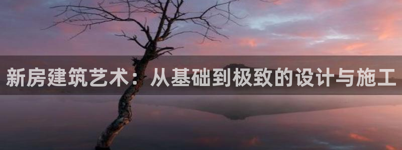 威九国际v96 bet会黑吗：新房建筑艺术：从基础到极致的设计与施工