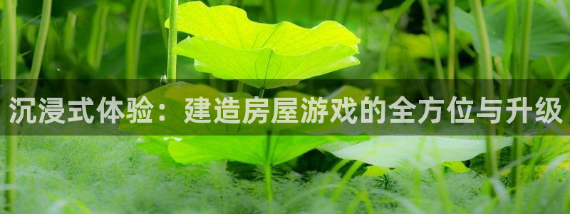 威九国际vA9618：沉浸式体验：建造房屋游戏的全方位与升级