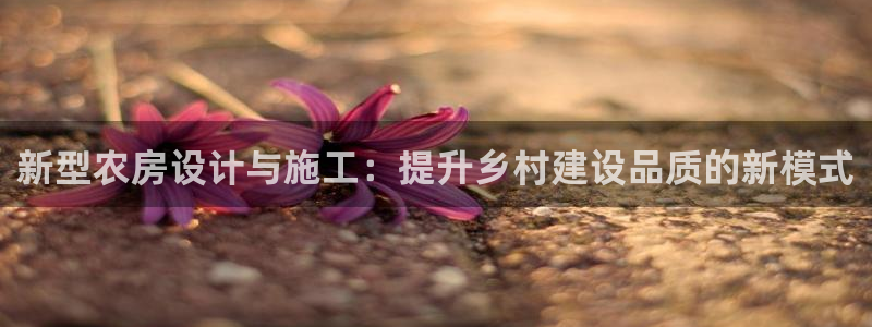 威九国际网站怎么样知乎：新型农房设计与施工：提升乡村建设品质的新模式