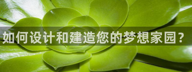 威九国际mv：如何设计和建造您的梦想家园？