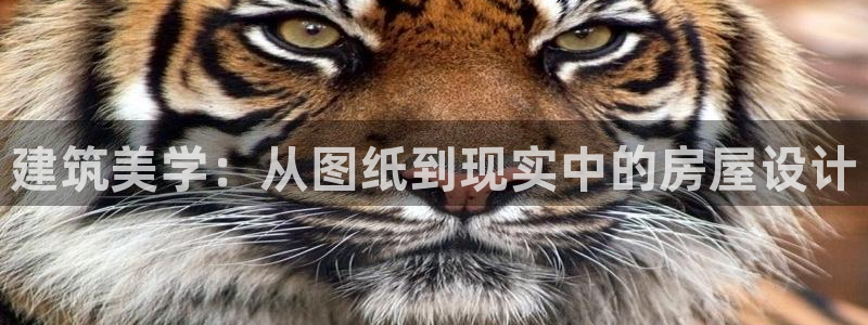威九国际网站经常打不开网页：建筑美学：从图纸到现实中的房屋设计