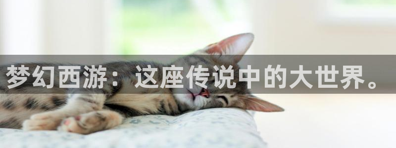 威九国际w98：梦幻西游：这座传说中的大世界。