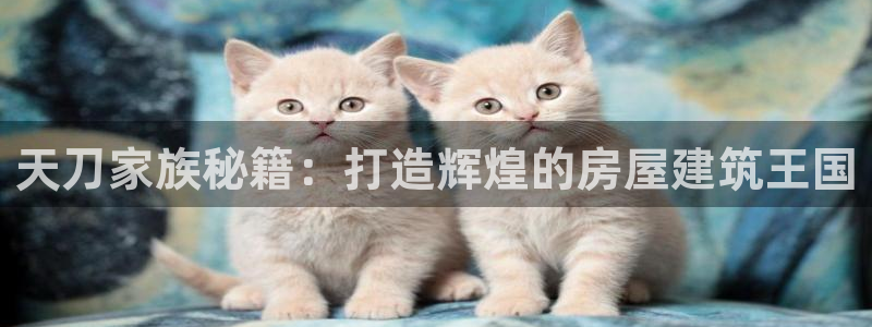 威九国际78mb下：天刀家族秘籍：打造辉煌的房屋建筑王国
