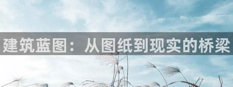 威九国际黄威尼斯：建筑蓝图：从图纸到现实的桥梁