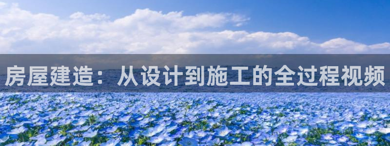 威九国际空降服务女演员名字：房屋建造：从设计到施工的全过程视频