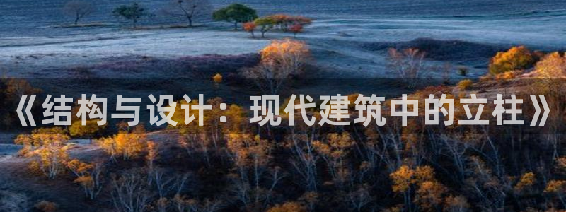 威九国际mb：《结构与设计：现代建筑中的立柱》