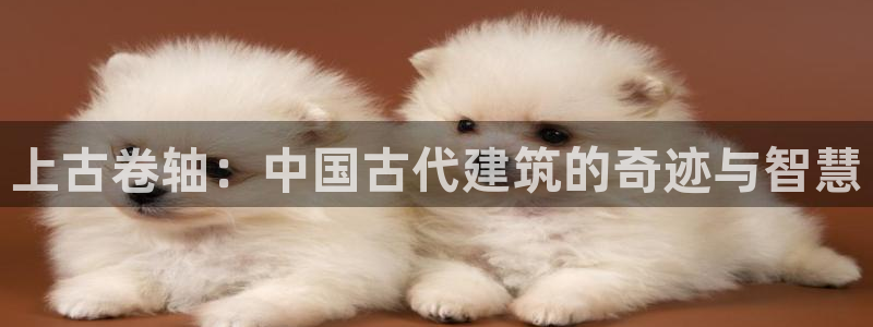 威九国际犯法吗：上古卷轴：中国古代建筑的奇迹与智慧